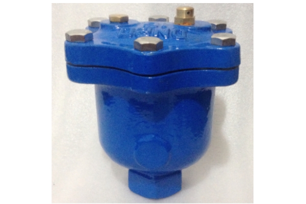 micro air release valve PN16/25