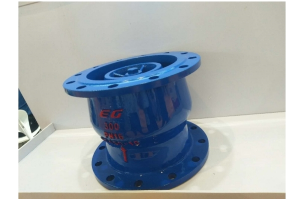nozzle check valve PN16