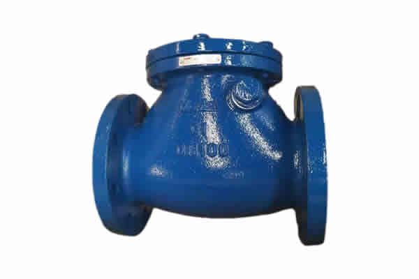 Swing check valve BS5153 PN16