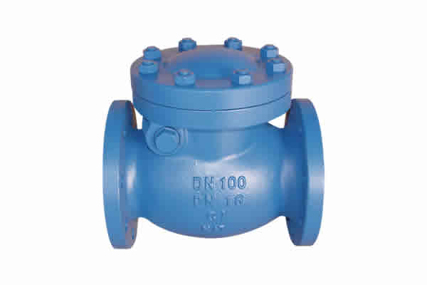 Swing check valve MSS SP-71　PN16