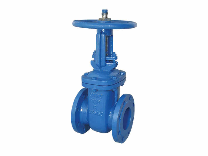 
	Gate Valve 
