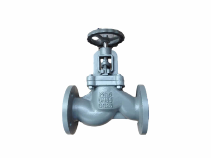 
	Globe Valve 
